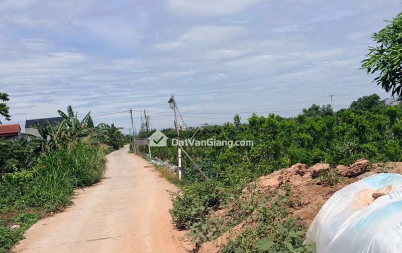 Bán 242m² Đất Kinh Doanh Vĩnh Tuy Văn Giang – Mặt Tiền 17m, Sát PVF, Đường 21m